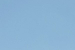 Carrington Oaks Apartments 1278 Cabelas Drive Buda Tx