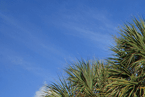 Emerald Lake apartments leasing center in Palm Springs, Florida