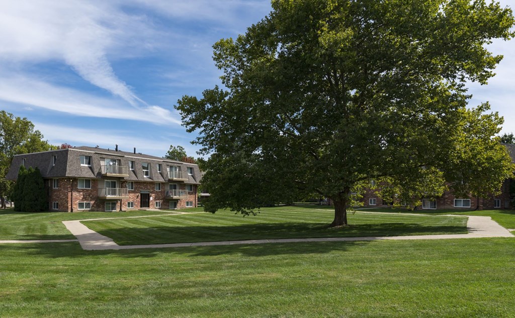 a large tree in the middle of a lawn in front of a building