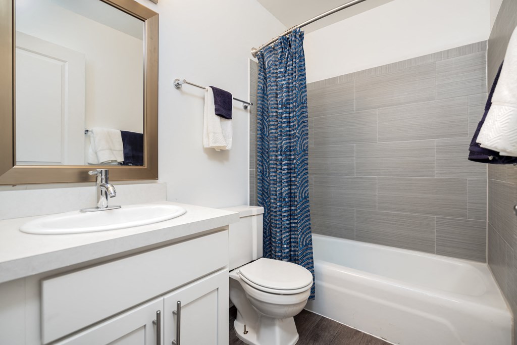 a bathroom with a shower toilet and sink and a mirror