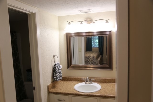 a small bathroom with a sink and a mirror