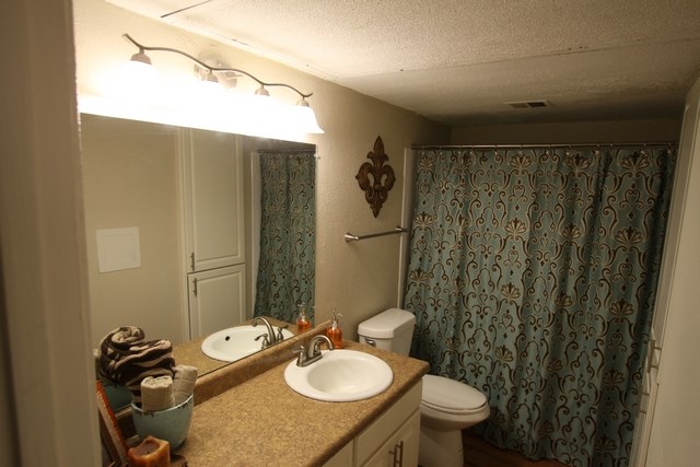 a bathroom with a sink and a toilet and a shower
