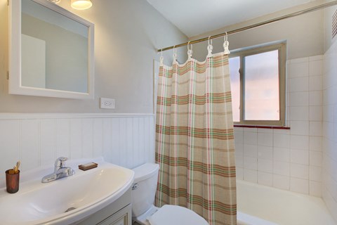a bathroom with a shower curtain and a toilet and a sink