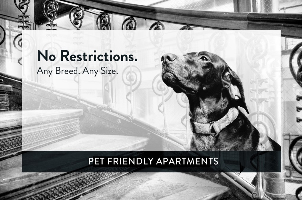 Como Lake Estates pet friendly