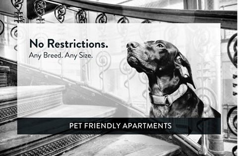 Como Lake Estates pet friendly, St. Paul, Minnesota