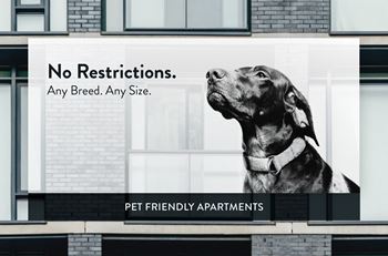 214 Place Apartments Pet Friendly, No Breed Restrictions