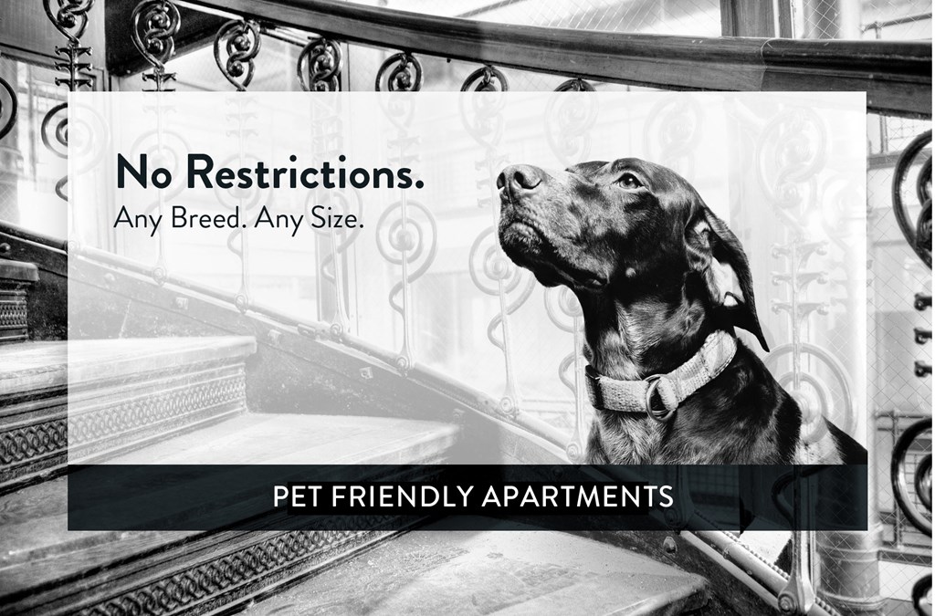 214 Place Apartments Pet Friendly, No Weight or Breed Restrictions
