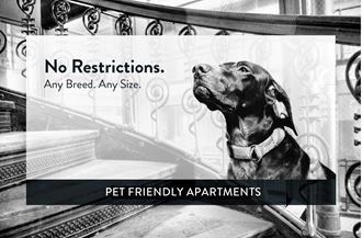 La Pompadour pet friendly La Pompadour pet friendly