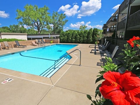 Lexington Hills pool