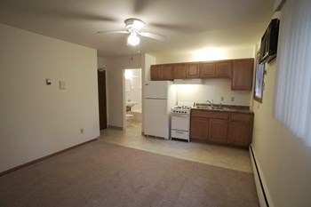 Minnehaha Apartments studio Minnehaha Apartments studio - Photo Gallery 3
