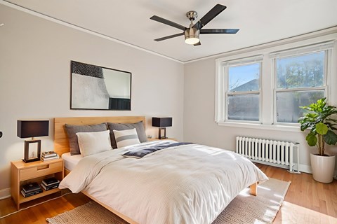 A bedroom with a large bed, a ceiling fan, and a potted plant.