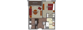 1 Bed 1 Bath Style B2