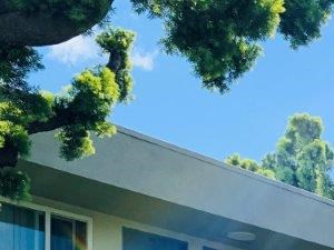 Courtyard Courtyard at 4701 Clair Del, Long Beach - Photo Gallery