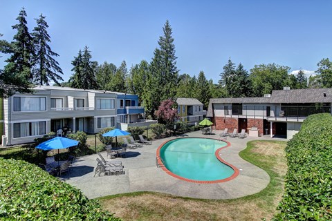 A swimming pool is surrounded by a grassy area and trees.