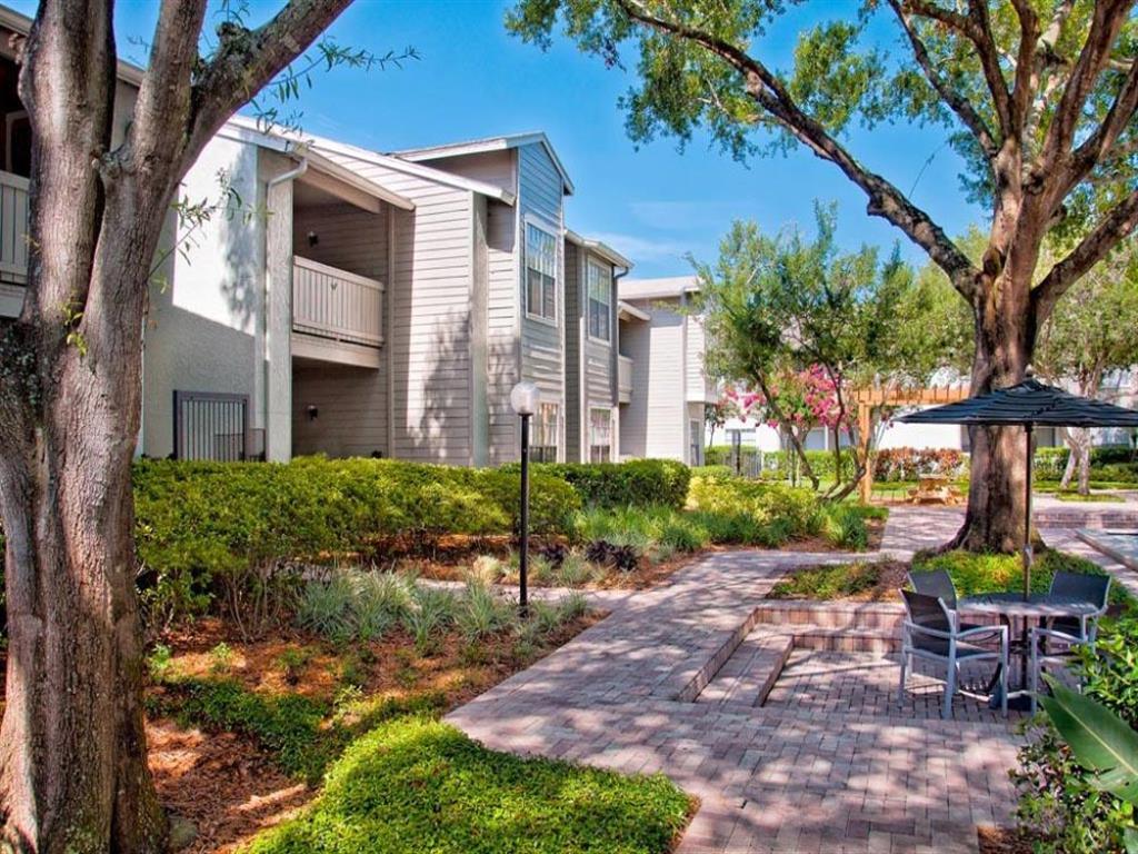 Photos and Video of Ascent Citrus Park in Tampa, FL