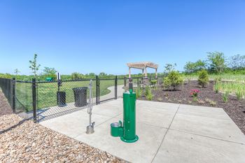 Dog Run Area with Exercise Equipment and Dog Wash
