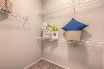 Large Walk-In Closets with Shelving