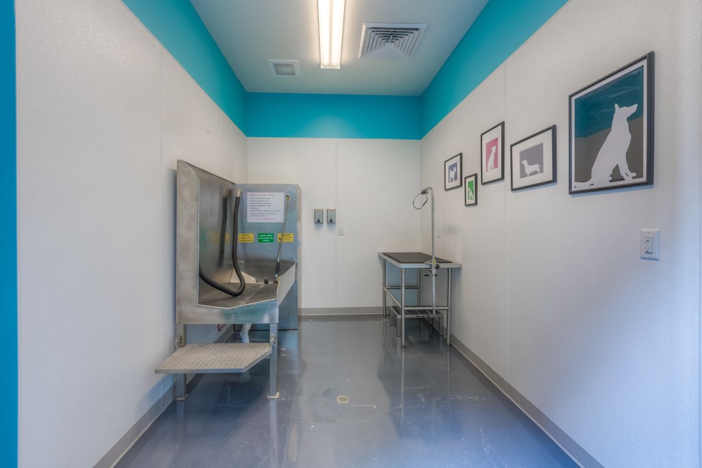 a washing station and grooming for your furry friend with chair and a sink  at EdgeWater at City Center, Lenexa, 66219