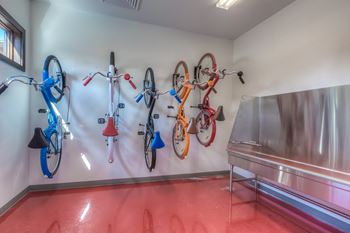Bicycle Rentals and Wash Room with Repair Stations