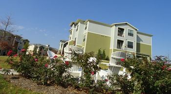 Apartments For Rent In 78640 Tx Rentcafe