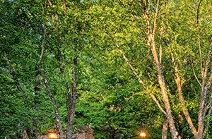 The Fountains At Morgan Falls Apartments In Sandy Springs Ga