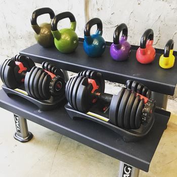 dumb bells and other weights