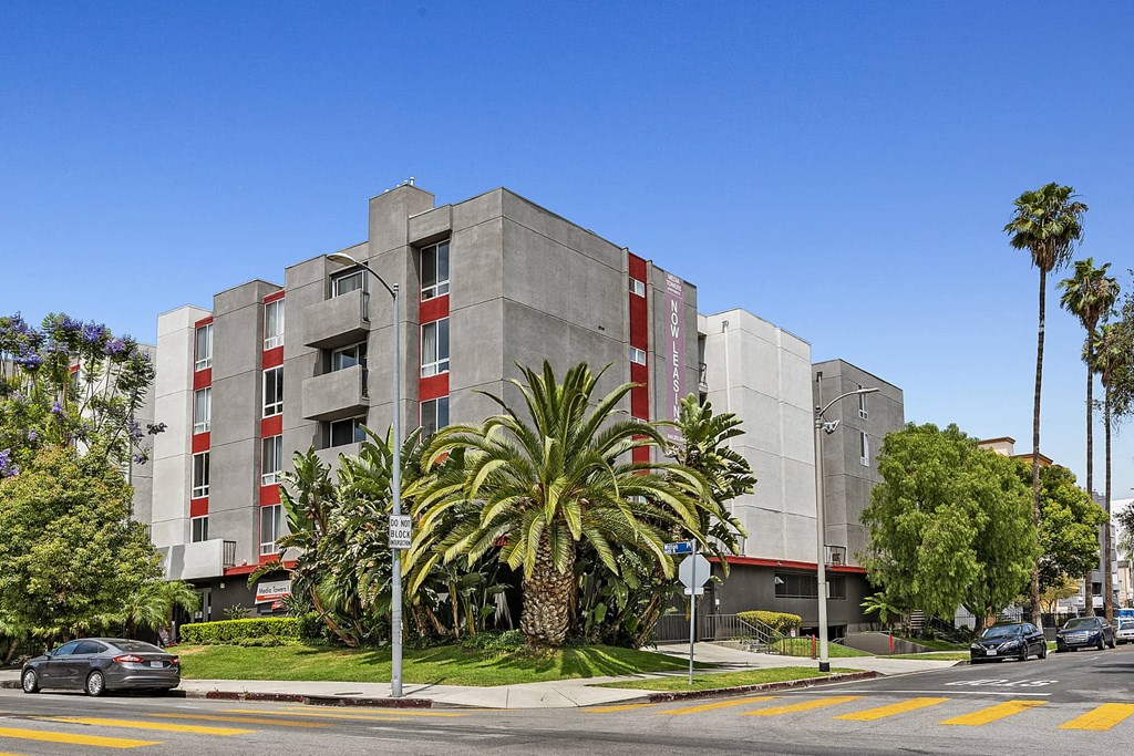 a building with palm trees in front of it on a city street