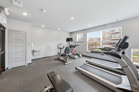 A room with a treadmill, exercise bike, and other workout equipment.
