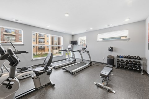 A well-equipped gym with treadmills, exercise bikes, and weights.