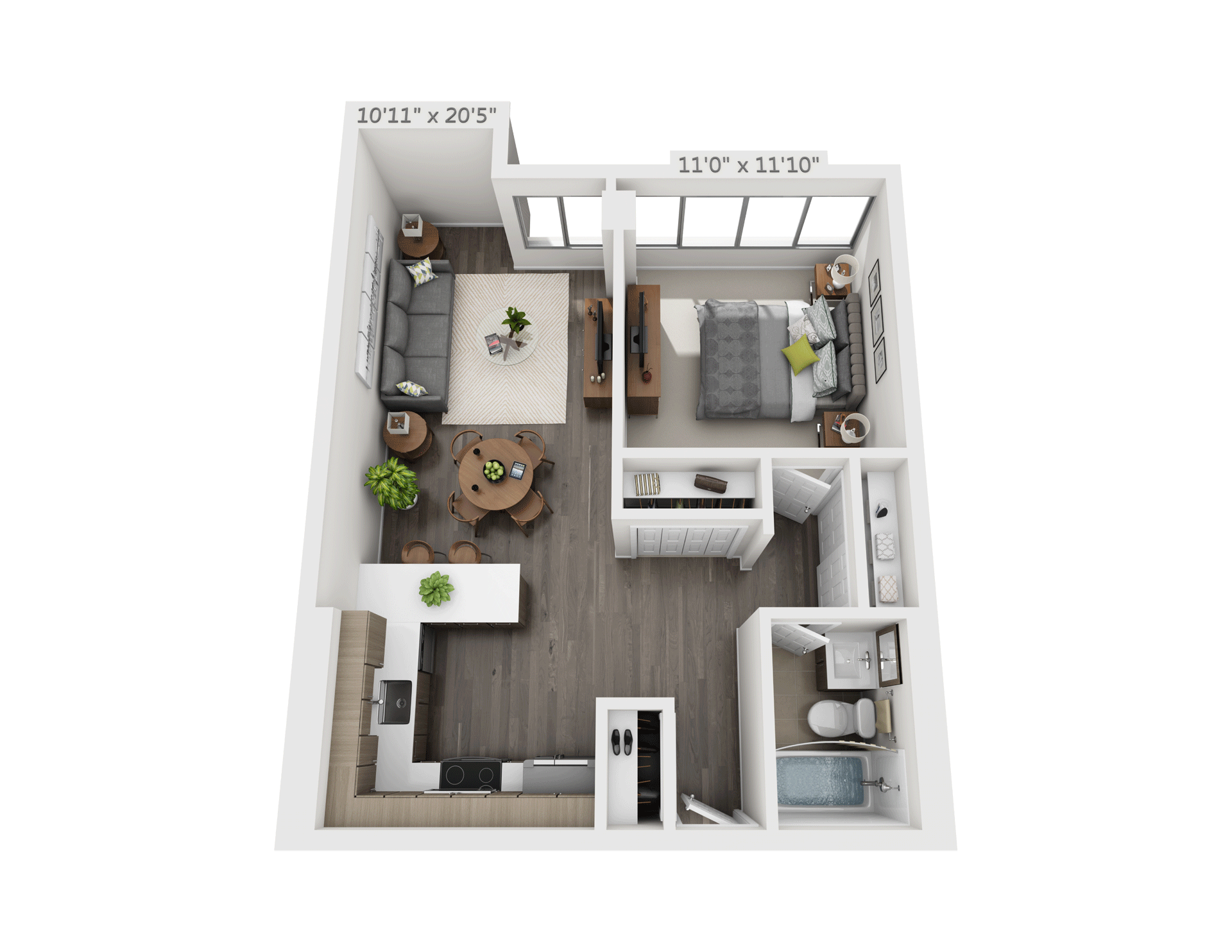 1 Bedroom Apartment