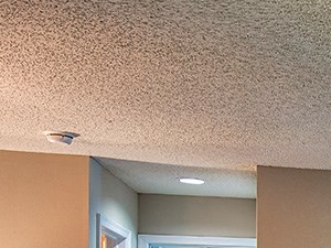 Model_Living_Area_Wilde_Lake_01