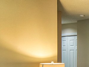 Model_Living_Area_Wilde_Lake_13_R
