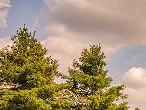 Tennis_Court_Wilde_Lake_0