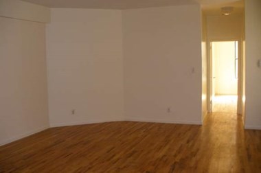 1033-1037 Avenue St. John Studio-1 Bed Apartment for Rent