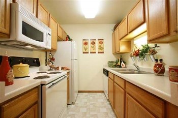 2301 Traceway Drive 1-2 Beds Apartment for Rent - Photo Gallery 4