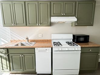 a kitchen with green cabinets and a white stove and a sink