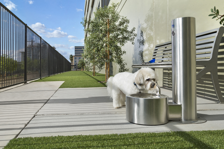 District At Biltmore Apartments