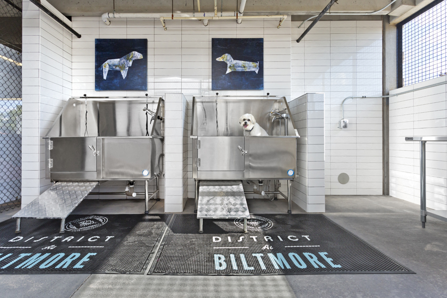 District At Biltmore Apartments