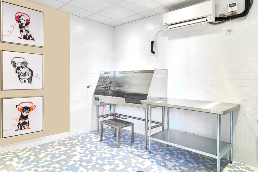 Midtown apartments for rent in Nashville - SkyHouse Nashville dog wash