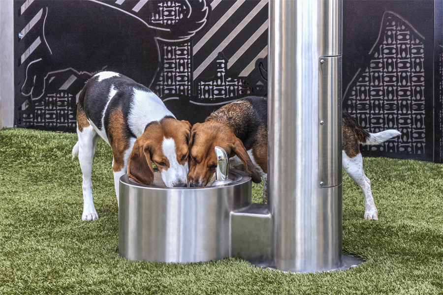 SkyHouse Nashville Apartments - Downtown Nashville, TN - pet-friendly