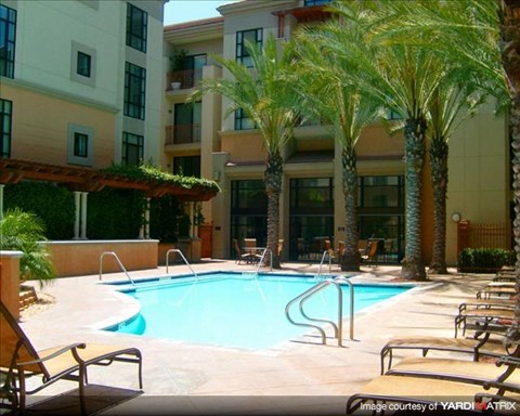 a large swimming pool with chairs and palm trees