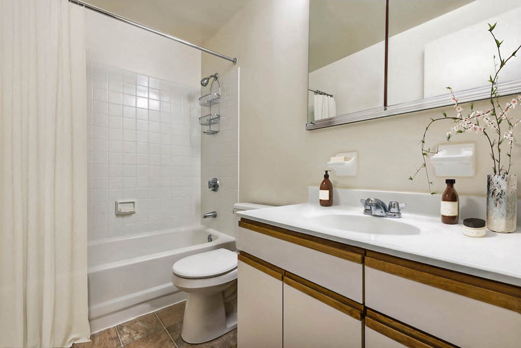 a bathroom with a sink and a toilet and a shower