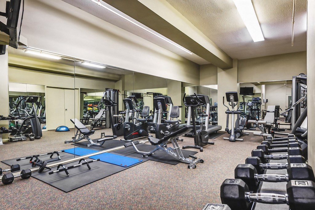 a gym with weights and cardio equipment in a large room