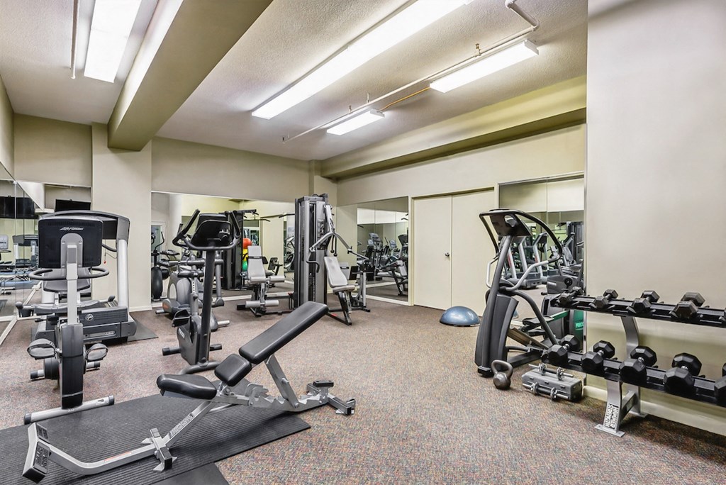 the gym at the house