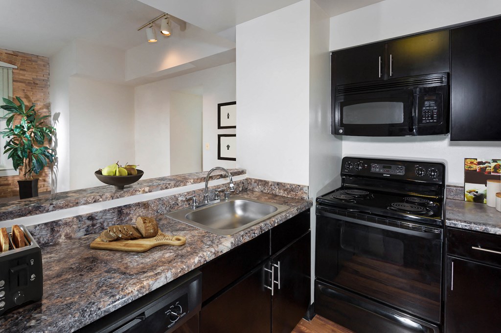 kitchen with black appliances and granite counter tops and a sink