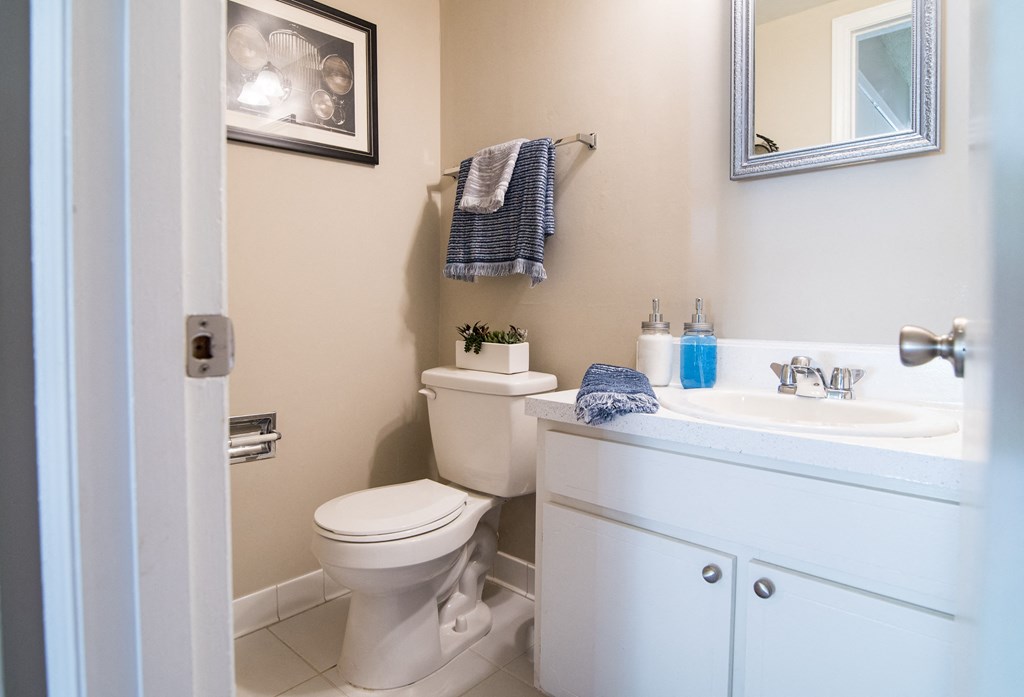 a bathroom with a toilet and a sink and a mirror
