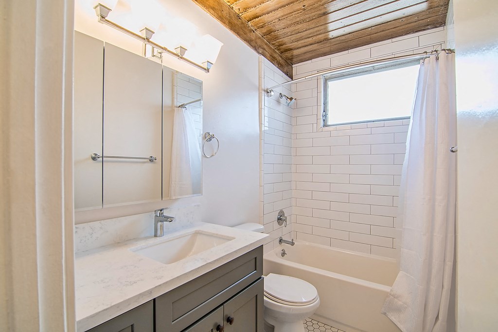 a bathroom with a sink and a toilet and a shower