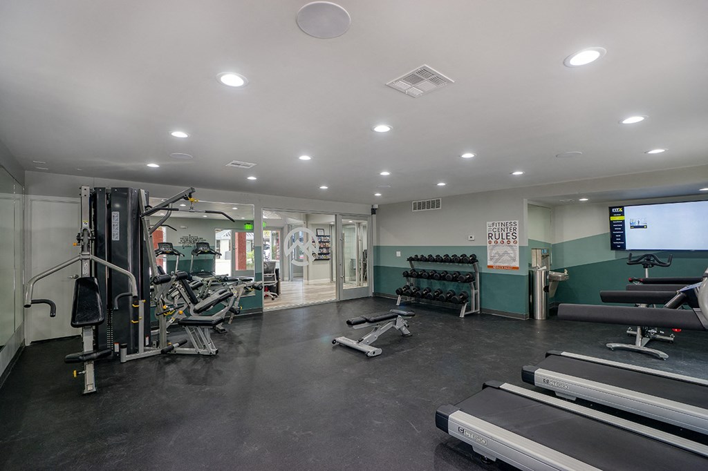 a gym with weights and cardio equipment and a tv