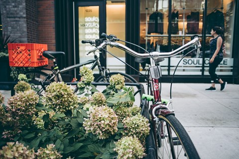a bike parked next to a row of flowers on a sidewalk