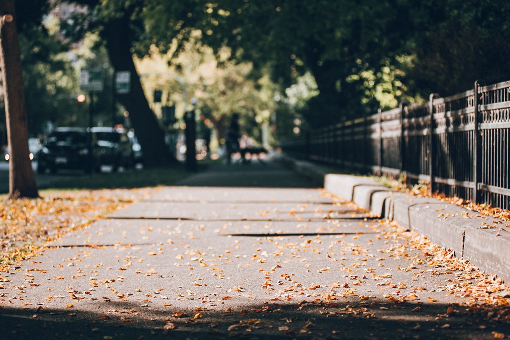 a sidewalk covered in autumn leaves on a city street